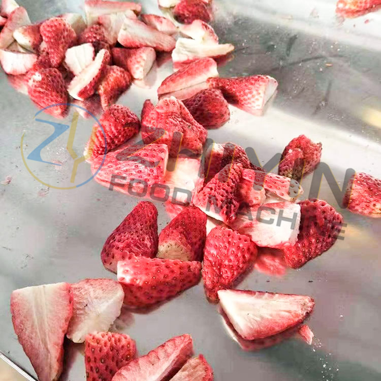 Frozen dried apricot processing equipment price freeze dried blueberries machine price